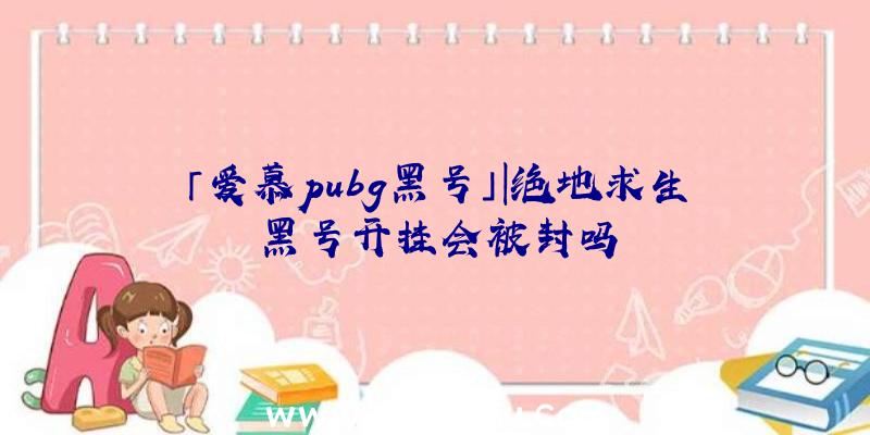 「爱慕pubg黑号」|绝地求生黑号开挂会被封吗